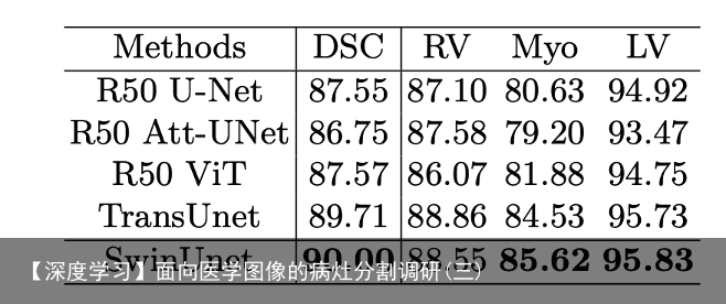 【深度学习】面向医学图像的病灶分割调研(三)4