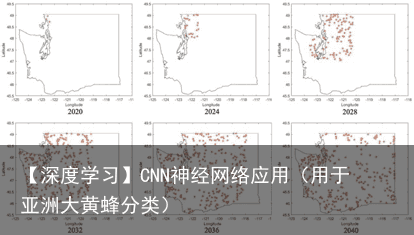 【深度学习】CNN神经网络应用（用于亚洲大黄蜂分类）10