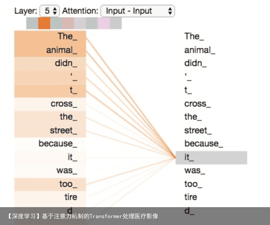 【深度学习】基于注意力机制的Transformer处理医疗影像1