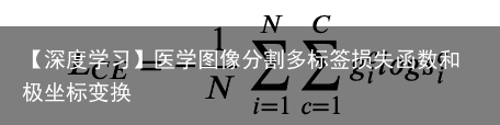 【深度学习】医学图像分割多标签损失函数和极坐标变换