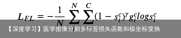 【深度学习】医学图像分割多标签损失函数和极坐标变换