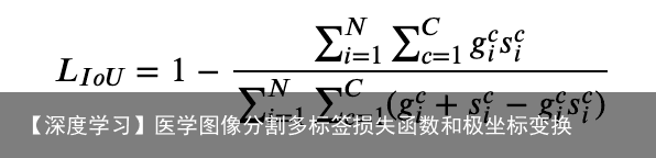 【深度学习】医学图像分割多标签损失函数和极坐标变换