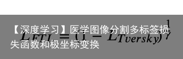 【深度学习】医学图像分割多标签损失函数和极坐标变换