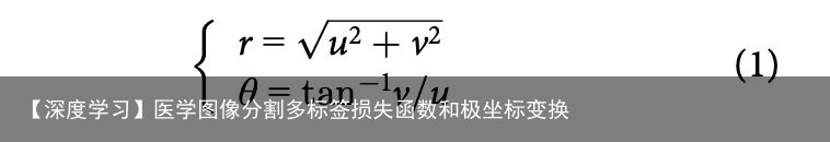 【深度学习】医学图像分割多标签损失函数和极坐标变换