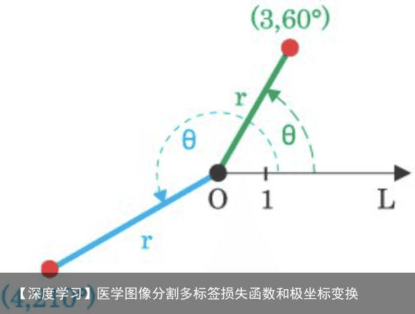 【深度学习】医学图像分割多标签损失函数和极坐标变换