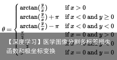 【深度学习】医学图像分割多标签损失函数和极坐标变换