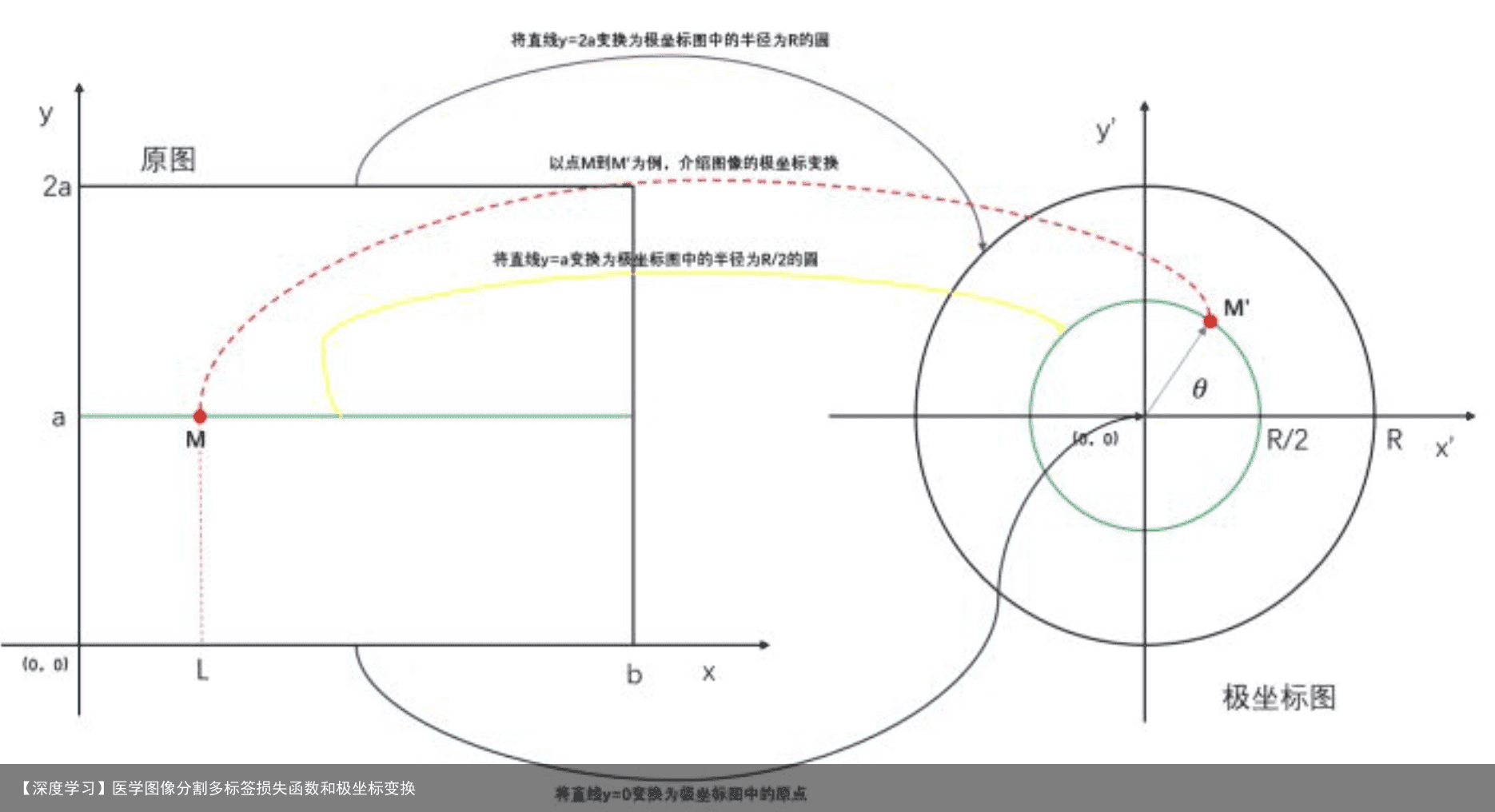 【深度学习】医学图像分割多标签损失函数和极坐标变换