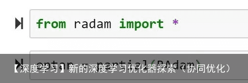 【深度学习】新的深度学习优化器探索（协同优化）2