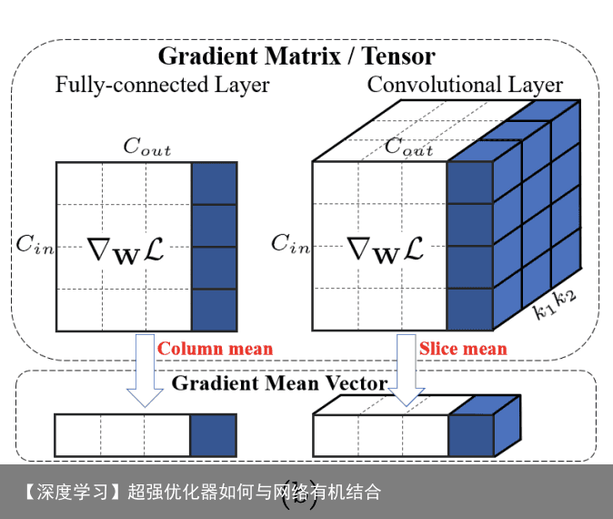 【深度学习】超强优化器如何与网络有机结合