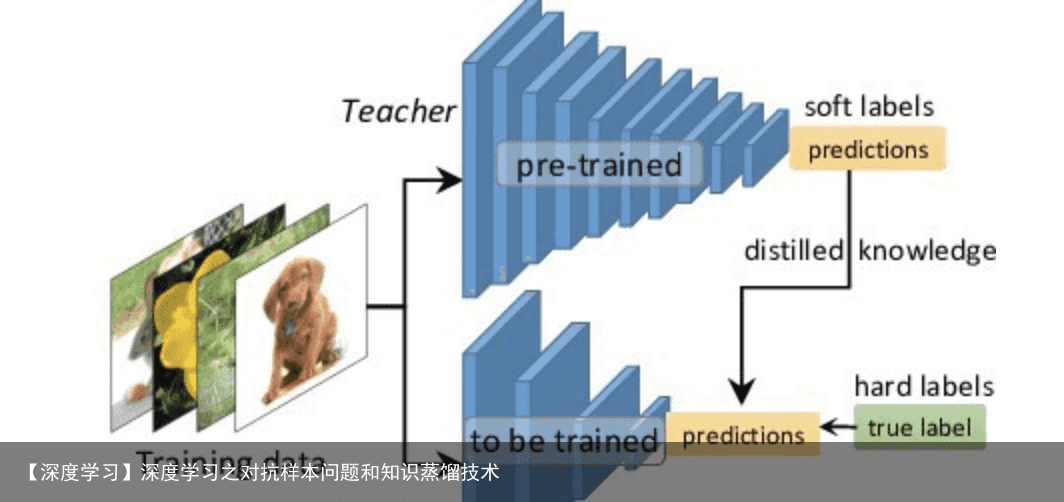 【深度学习】深度学习之对抗样本问题和知识蒸馏技术4