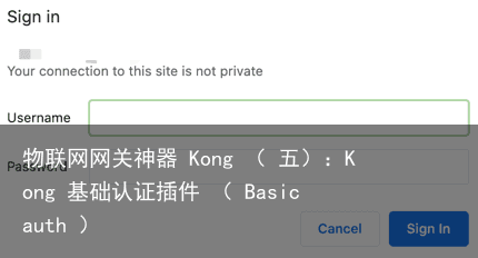 物联网网关神器 Kong （ 五）：Kong 基础认证插件 （ Basic auth ）5