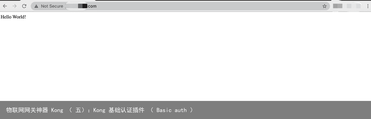 物联网网关神器 Kong （ 五）：Kong 基础认证插件 （ Basic auth ）15