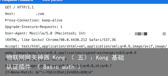 物联网网关神器 Kong （ 五）：Kong 基础认证插件 （ Basic auth ）1