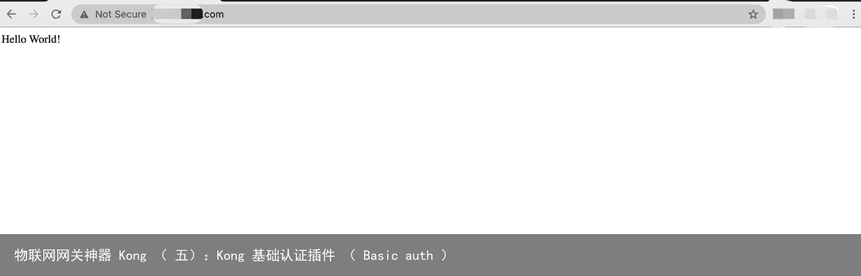 物联网网关神器 Kong （ 五）：Kong 基础认证插件 （ Basic auth ）16