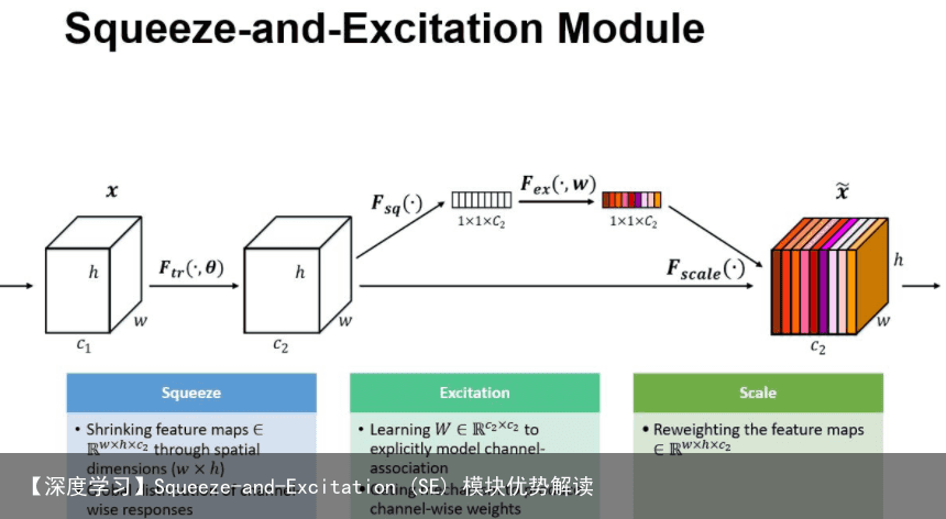 【深度学习】Squeeze-and-Excitation (SE) 模块优势解读