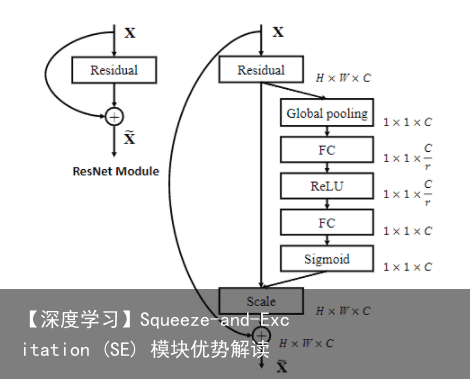 【深度学习】Squeeze-and-Excitation (SE) 模块优势解读