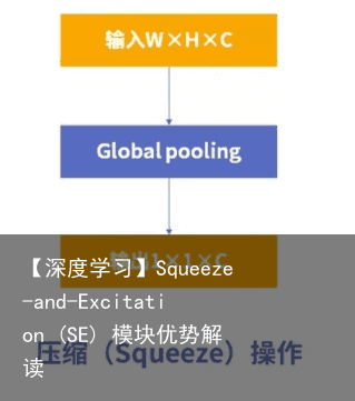 【深度学习】Squeeze-and-Excitation (SE) 模块优势解读