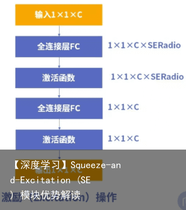 【深度学习】Squeeze-and-Excitation (SE) 模块优势解读