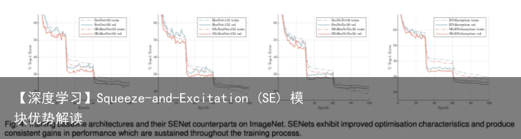 【深度学习】Squeeze-and-Excitation (SE) 模块优势解读