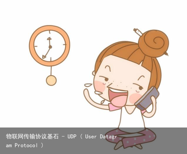 物联网传输协议基石 – UDP ( User Datagram Protocol )2