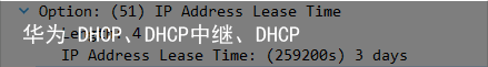 华为 DHCP、DHCP中继、DHCP snooping12
