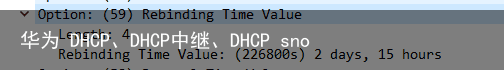 华为 DHCP、DHCP中继、DHCP snooping13