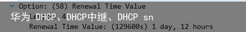 华为 DHCP、DHCP中继、DHCP snooping14
