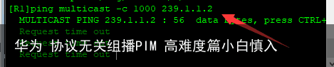 华为 协议无关组播PIM 高难度篇小白慎入19