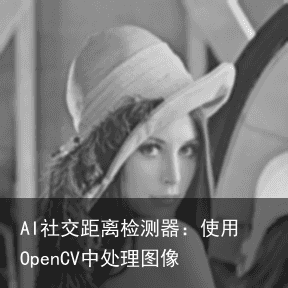 AI社交距离检测器：使用OpenCV中处理图像3