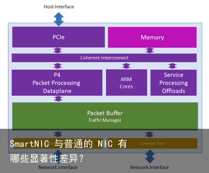 SmartNIC 与普通的 NIC 有哪些显著性差异？