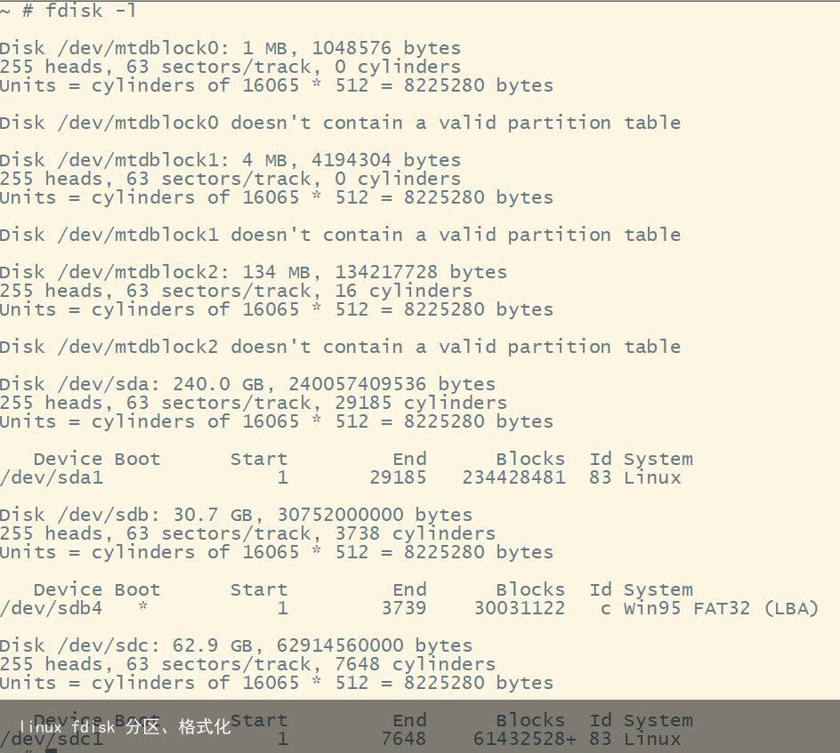linux fdisk 分区、格式化