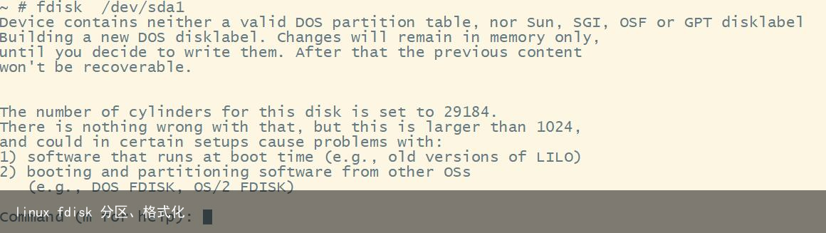 linux fdisk 分区、格式化1