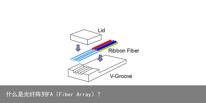 什么是光纤阵列FA（Fiber Array）？