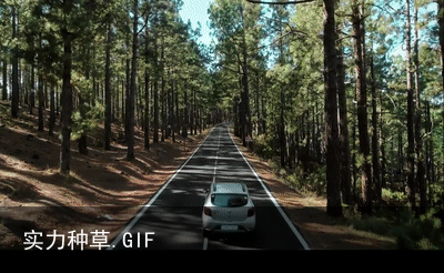 实力种草.GIF