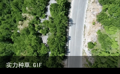 实力种草.GIF