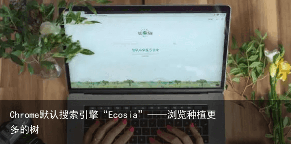 Chrome默认搜索引擎“Ecosia”——浏览种植更多的树