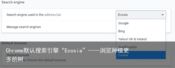 Chrome默认搜索引擎“Ecosia”——浏览种植更多的树