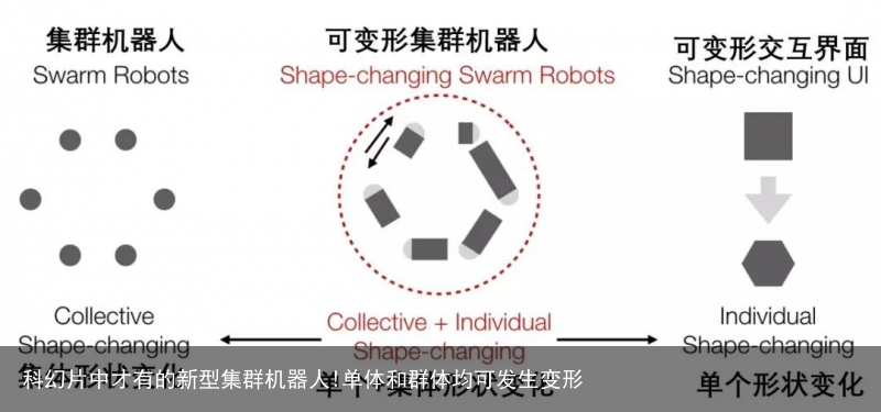 科幻片中才有的新型集群机器人!单体和群体均可发生变形5