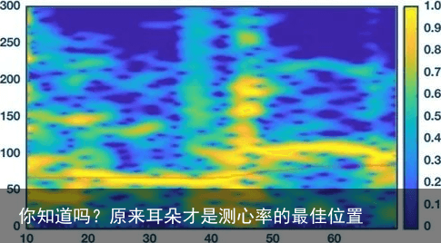 你知道吗？原来耳朵才是测心率的最佳位置13