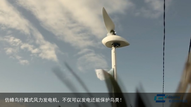 仿蜂鸟扑翼式风力发电机，不仅可以发电还能保护鸟类！8