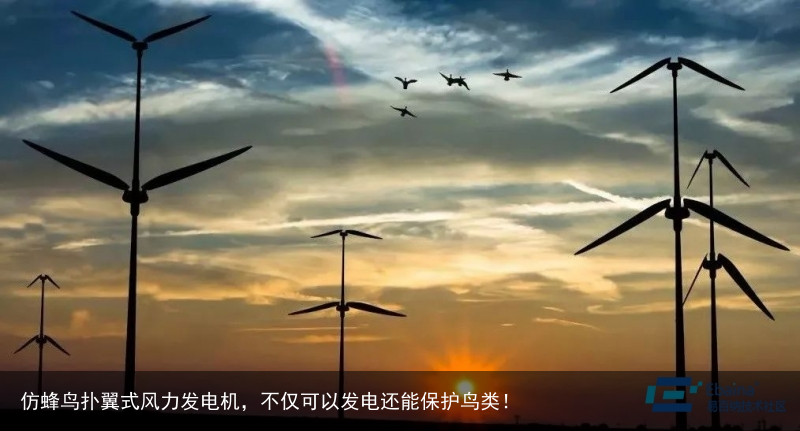仿蜂鸟扑翼式风力发电机，不仅可以发电还能保护鸟类！10