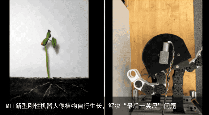 MIT新型刚性机器人像植物自行生长，解决“最后一英尺”问题1