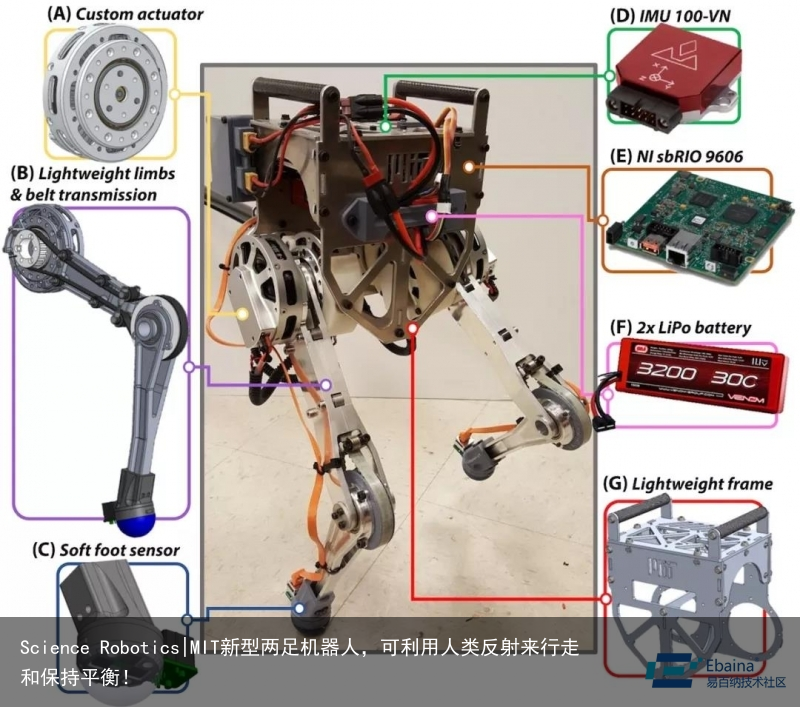 Science Robotics|MIT新型两足机器人，可利用人类反射来行走和保持平衡！