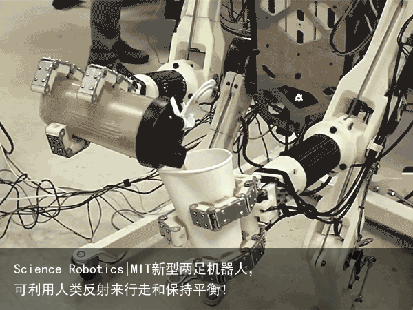 Science Robotics|MIT新型两足机器人，可利用人类反射来行走和保持平衡！