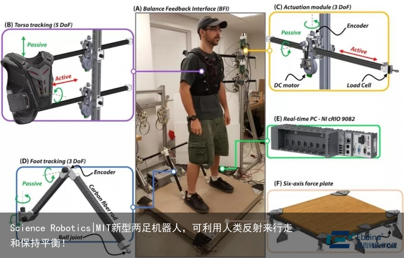 Science Robotics|MIT新型两足机器人，可利用人类反射来行走和保持平衡！