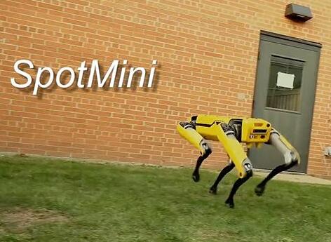 波士顿动力展示SpotMini机器人 将进行量产应用于各领域5