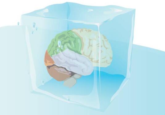 冷冻大脑技术将实现 生前需提前保存3