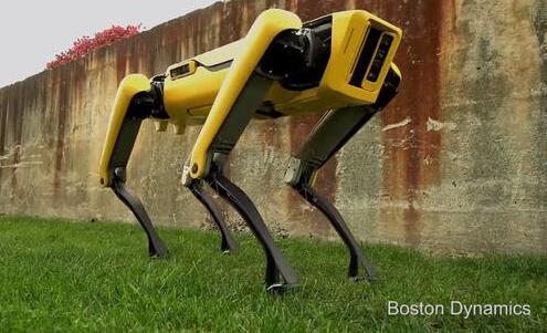 波士顿机器狗可自己开门 智能化程度惊呆众人