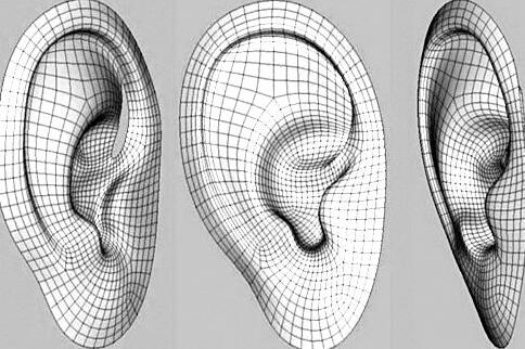3D打印可用于打印骨头 将会有效解决听力障碍问题4