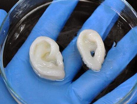 3D打印可用于打印骨头 将会有效解决听力障碍问题5